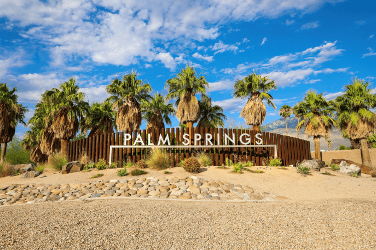 Palm Springs Living Desert