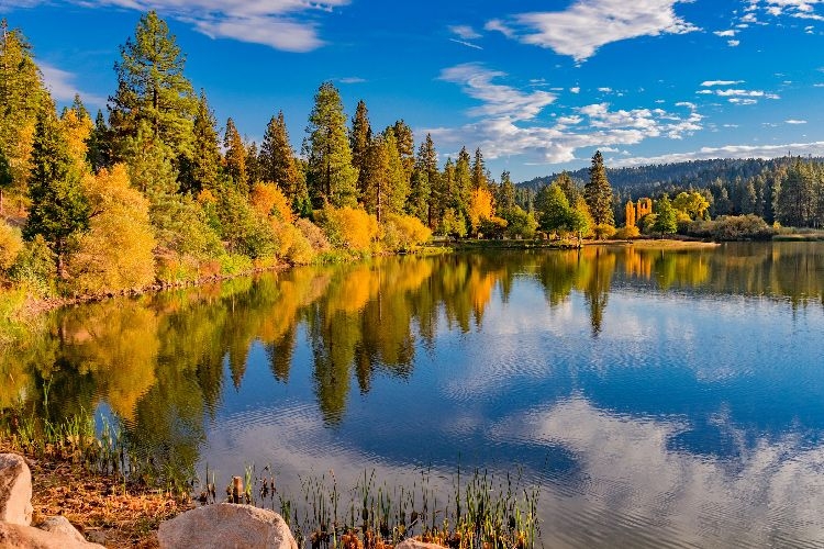 Palm Springs best time to visit