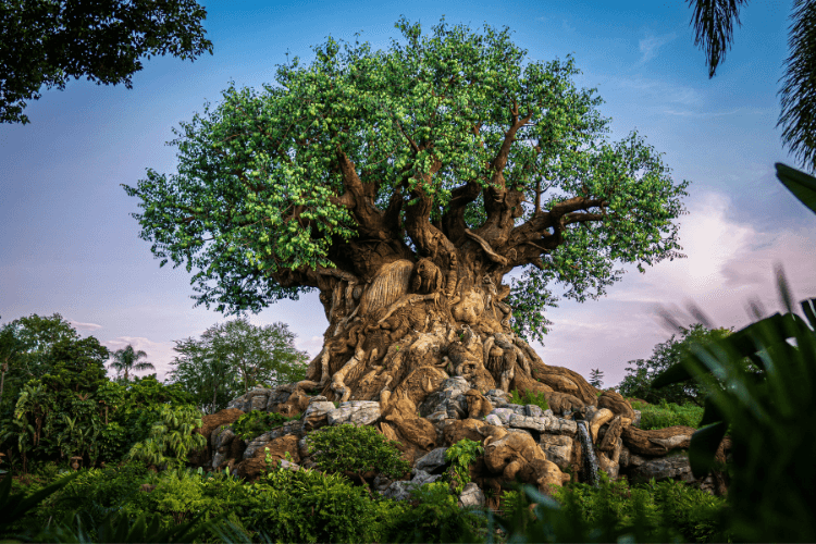 Pandora Animal Kingdom.