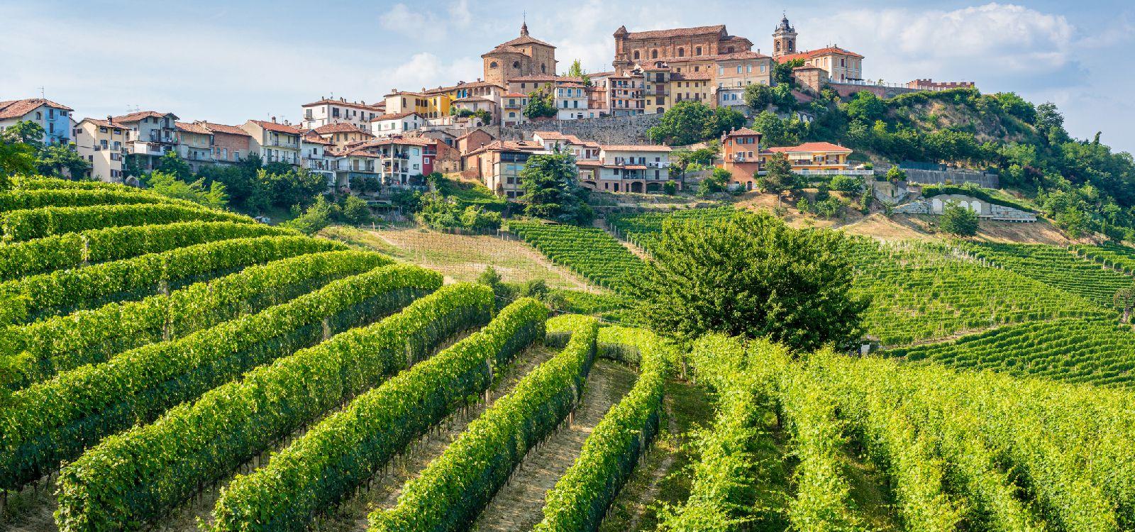 Piedmont vacation rentals