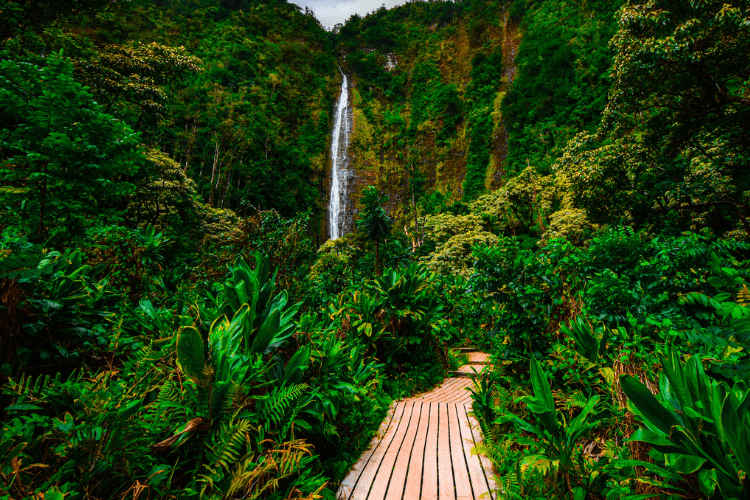 Pīpīwai Trail