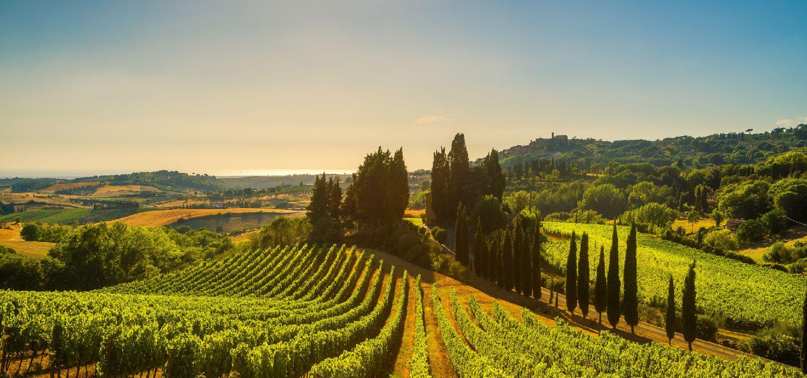 Pisa 9 bedroom villas