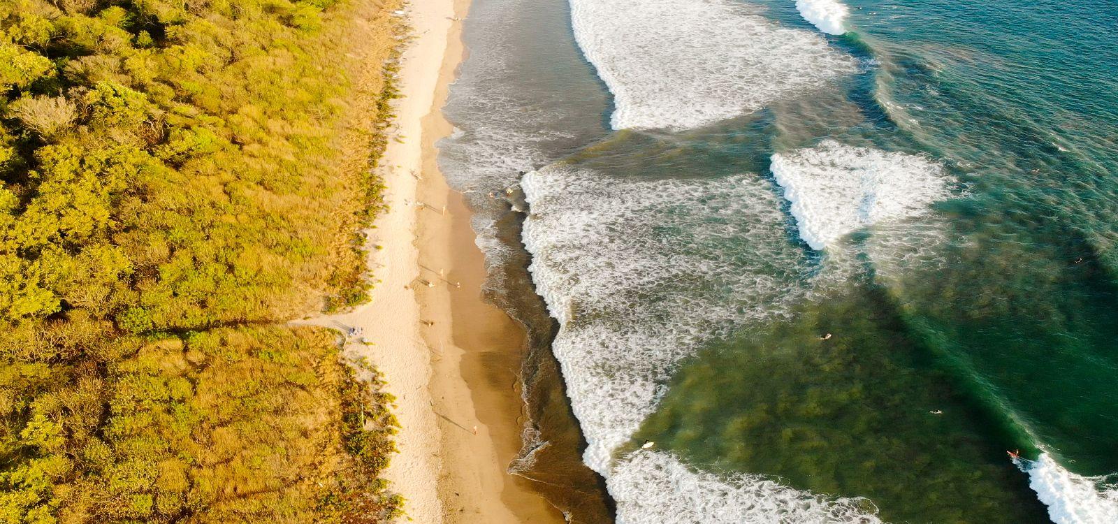 Playa Grande Costa Rica
