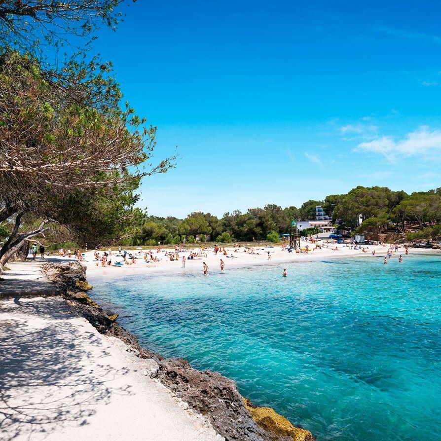 Property manager in Cala Mondrago