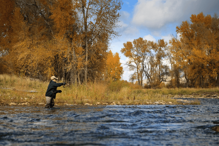 Provo River