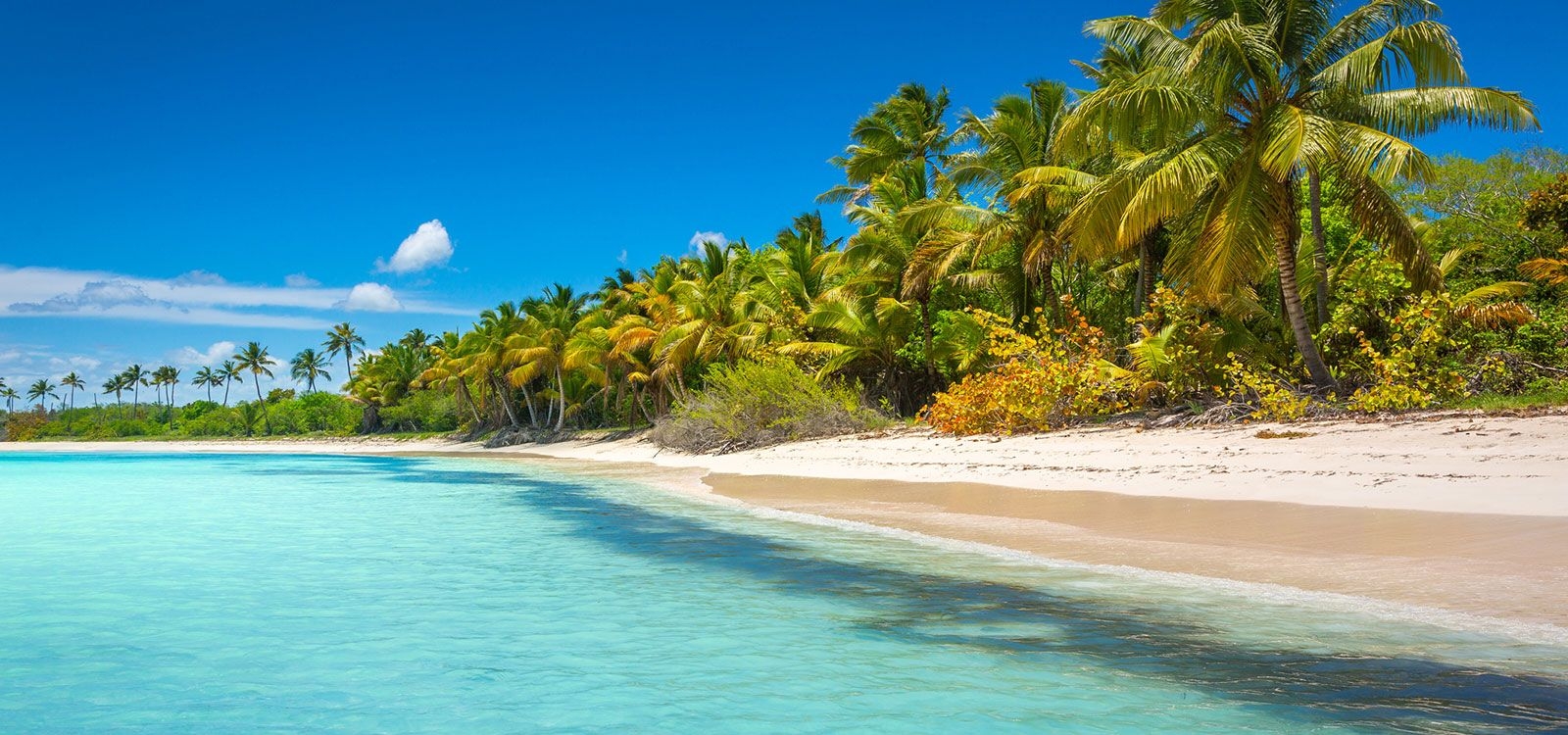 Punta Cana