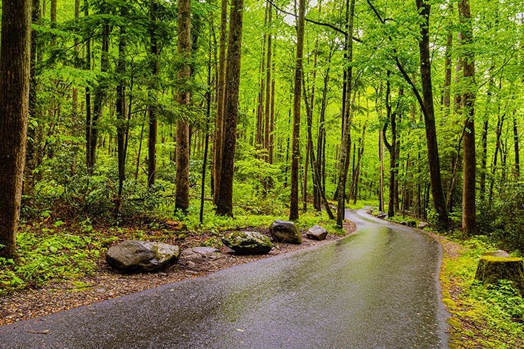Roaring Fork Motor Nature Trail