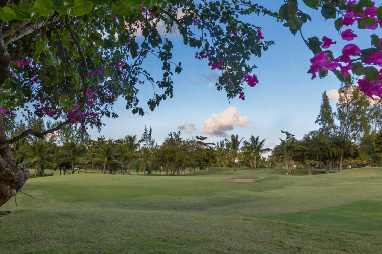 Royal Westmoreland