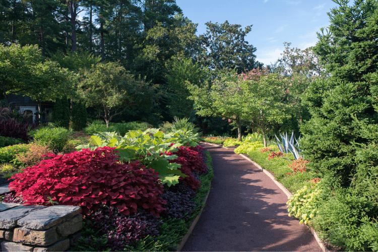 Sarah P. Duke Gardens