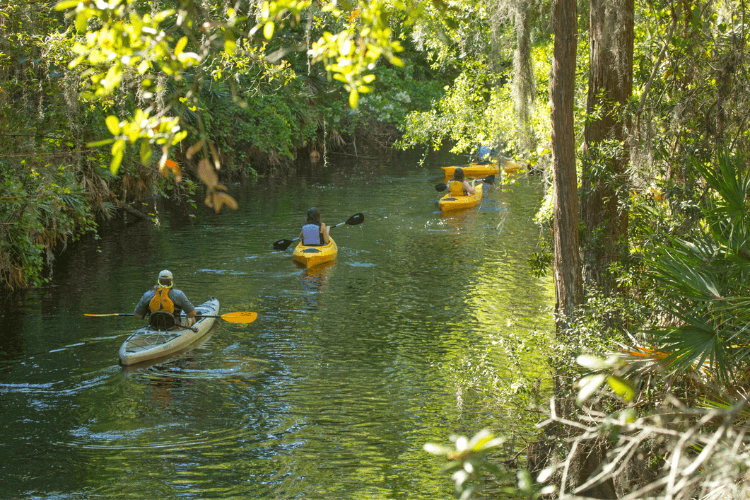 Shingle Creek Regional Park
