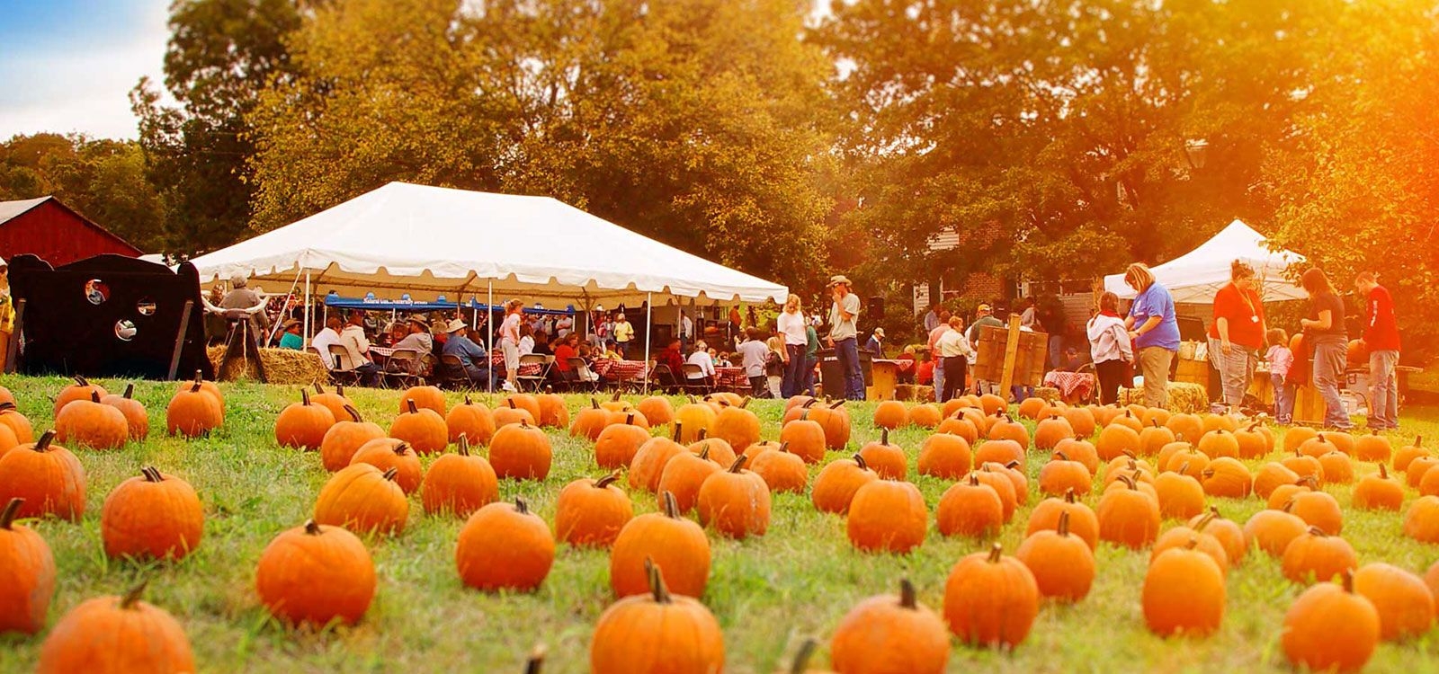 Smoky Mountain Harvest Festival