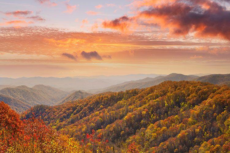 Smoky Mountain Harvest Festive