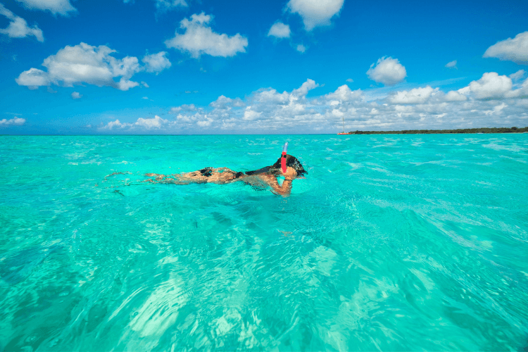 Snorkel