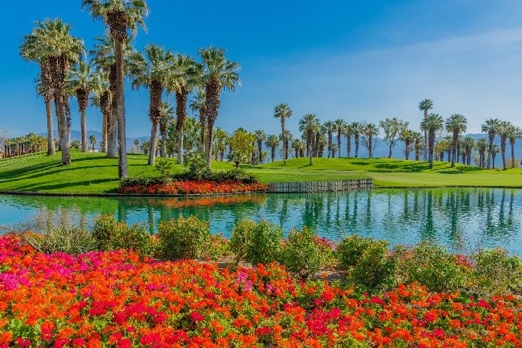 Spring in Palm springs best time to visit