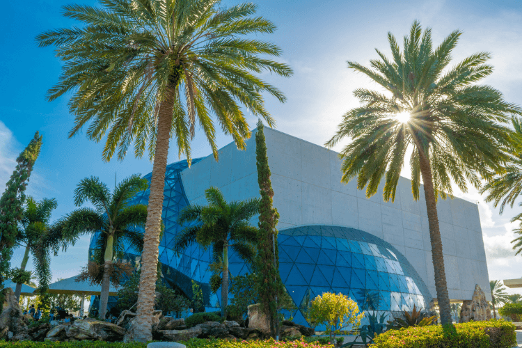 Tampa Bay's galleries