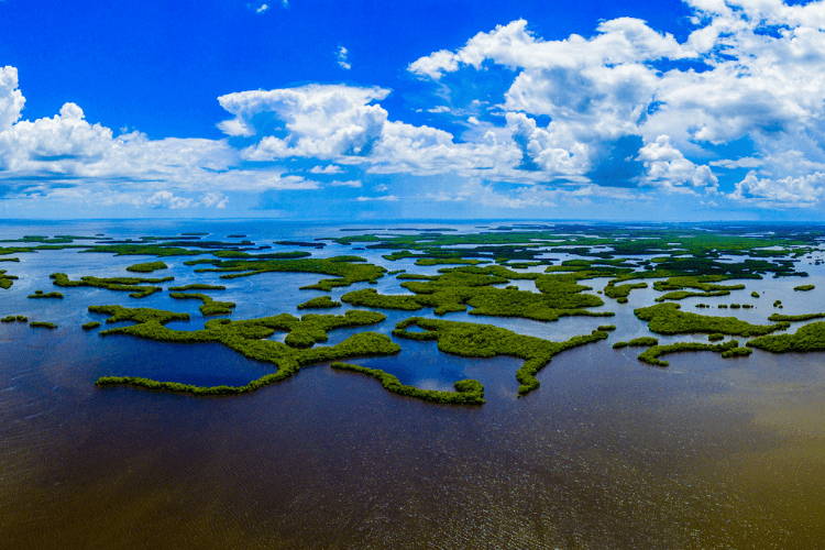 Ten Thousand Islands