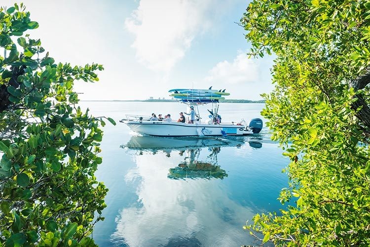 Best time to visit Florida Keys, Mangroves, Boating, Top Villas