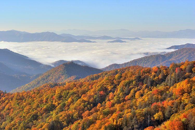 The best time to visit Sevierville