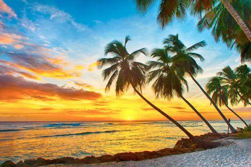 Things to do in Barbados
