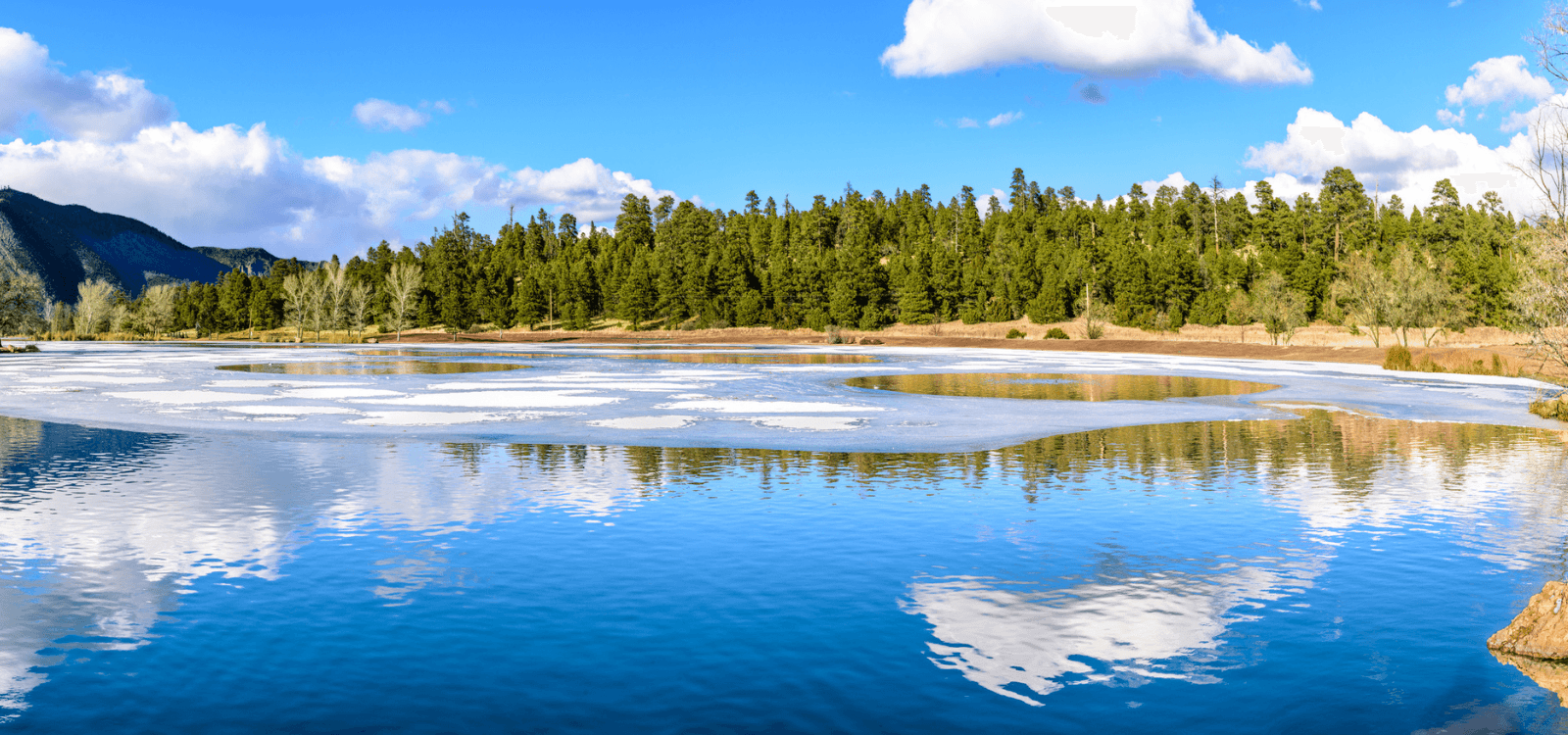 Things to do in Flagstaff