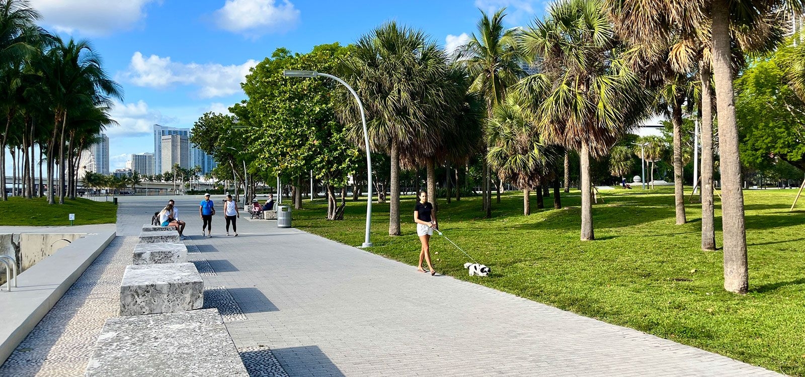 Vacation rentals near Bayfront Park