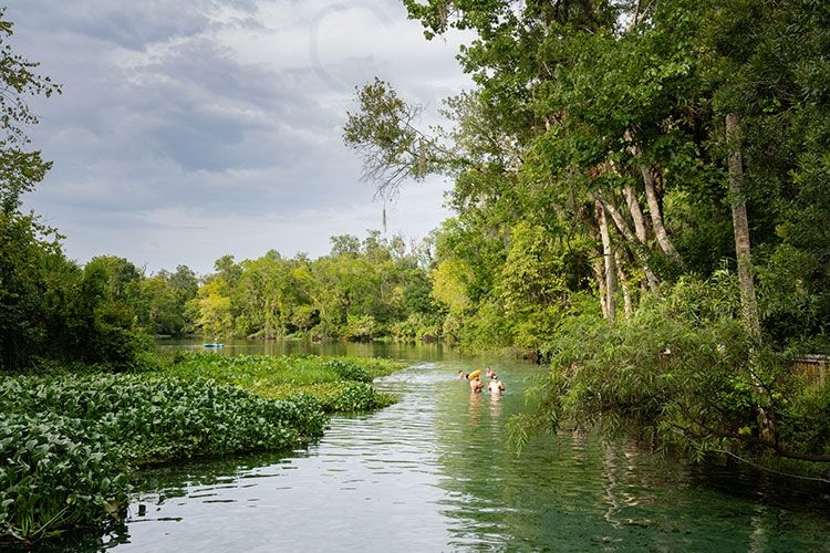 Wekiwa Springs State Park