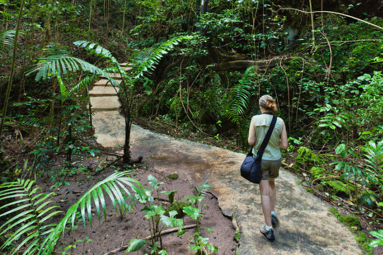 Welchman Hall Gully