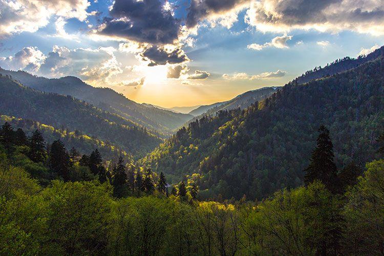 What are the best things to do in Pigeon Forge