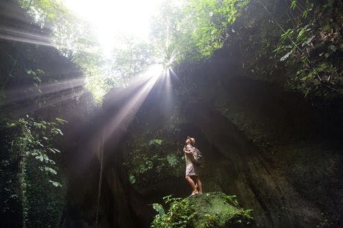 A person standing in a cave looking up at the sun and rainforest above