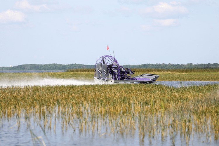 airboat ride