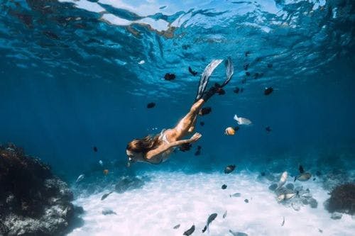 A woman snorkeling beneath the waves with tropical fish