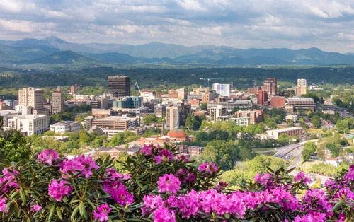 Asheville city in springtime with pink wildflowers in the foreground