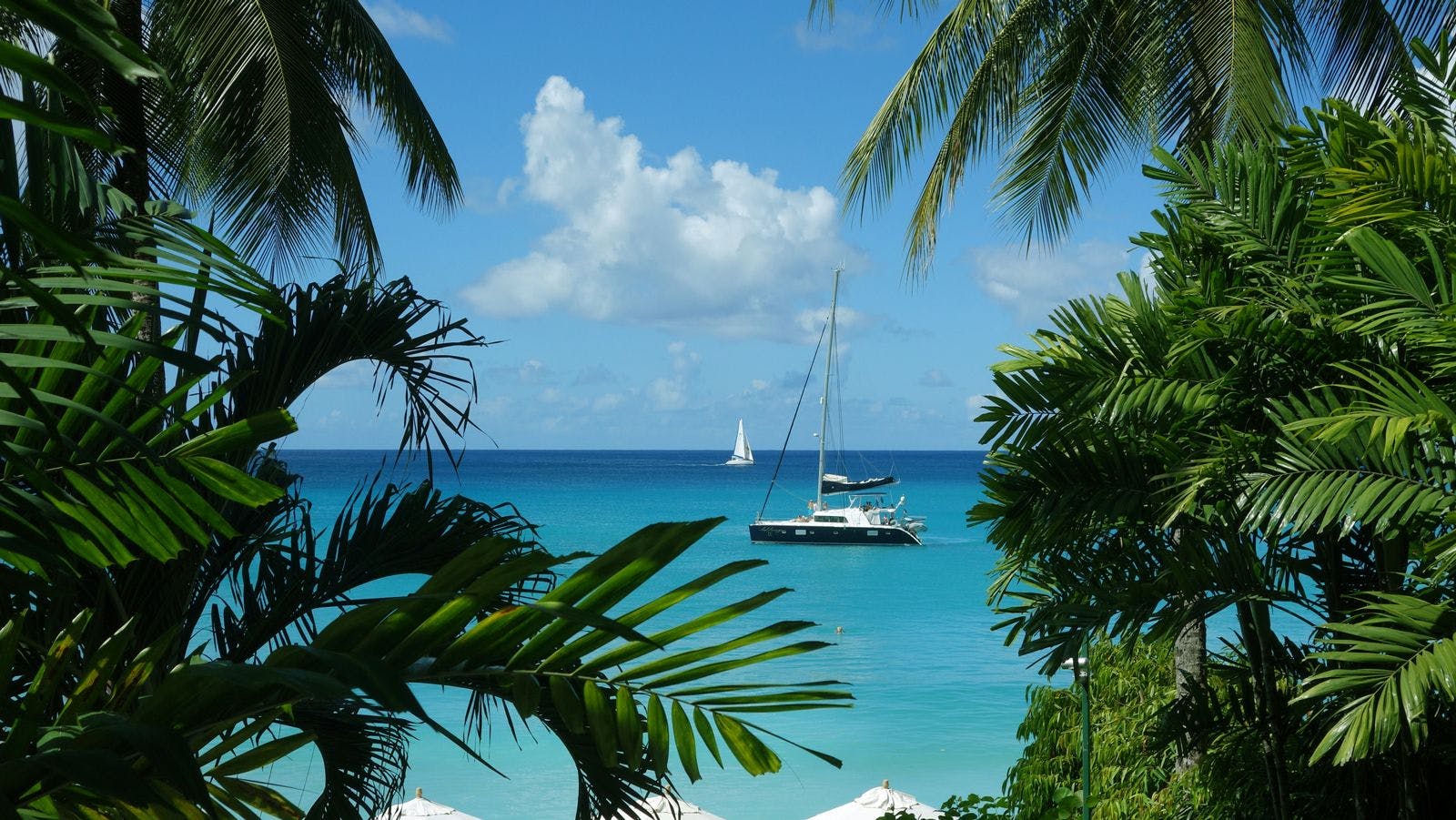 A yacht sailing on turquoise Caribbean Sea as viewed through the leaves of a palm tree