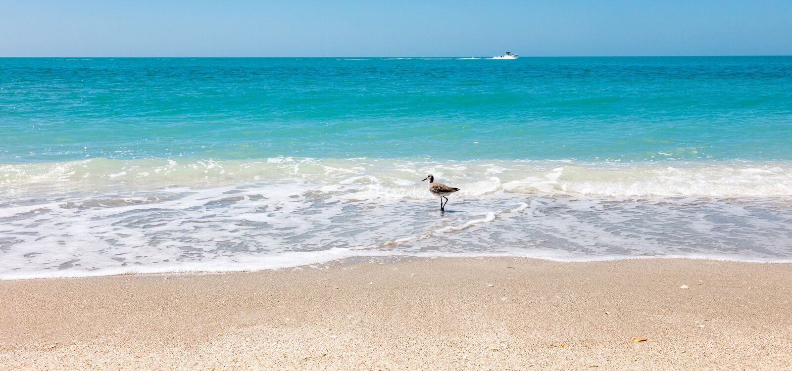 Best beaches near Cape Coral, Sanibel Island
