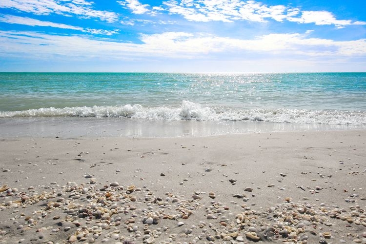 beaches-near-cape-coral-shelling-sanibel-island.jpg