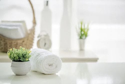 Spa items, including a rolled towel and plants on a white surface
