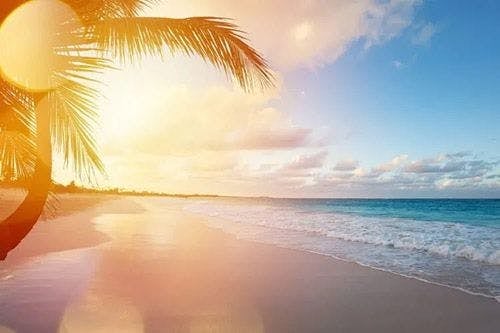 A white sand beach in Barbados