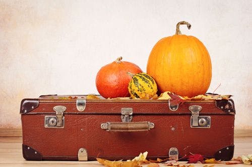 Three pumpkins on a vintage suitcase