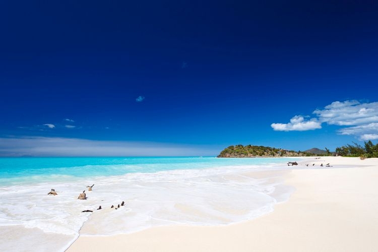 Best time to visit Antigua, beach and sea, Top Villas