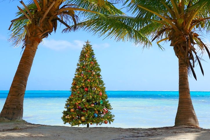 Best time to visit Belize, Christmas tree, December, Top Villas