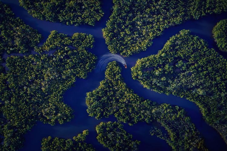 The best time to visit Cape Coral, creek aerial view with boat, Top Villas