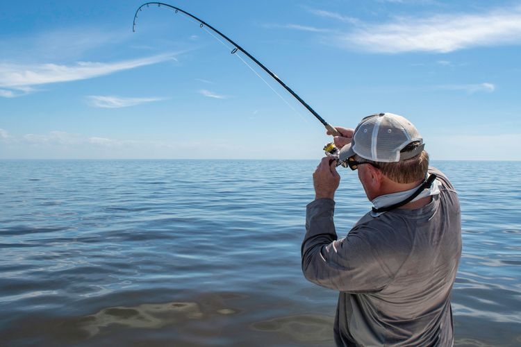 Fishing in Cape Coral