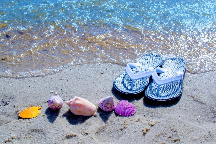The best time to visit Cape Coral Florida, beach seashells, Top Villas