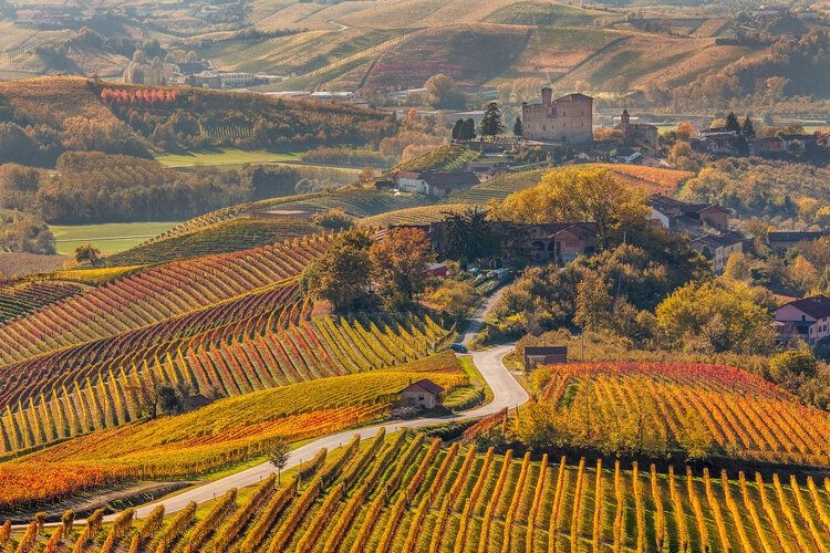 Best time to visit Europe, autumn, vineyards in Italy, Top Villas