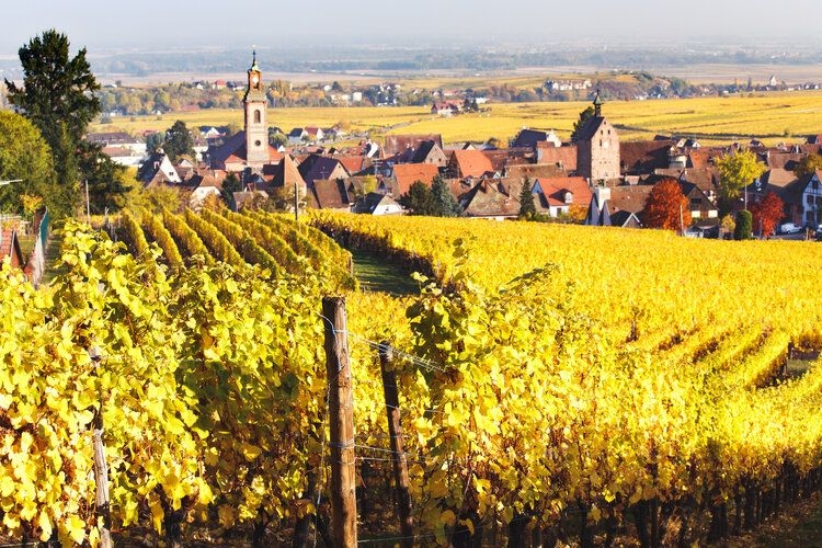 Best time to visit France, Alsace region, October, wine route, Top Villas