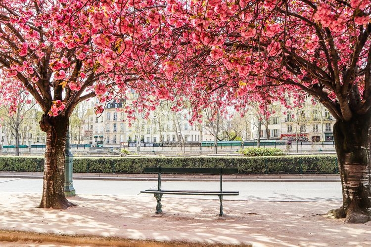 Best time to visit France, blossom, April, Top Villas