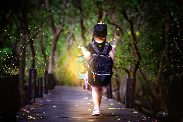 Best time to visit Gatlinburg, fireflies, summer, Top Villas