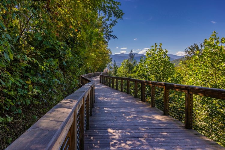 Best time to visit Gatlinburg for summertime scenery, Top Villas