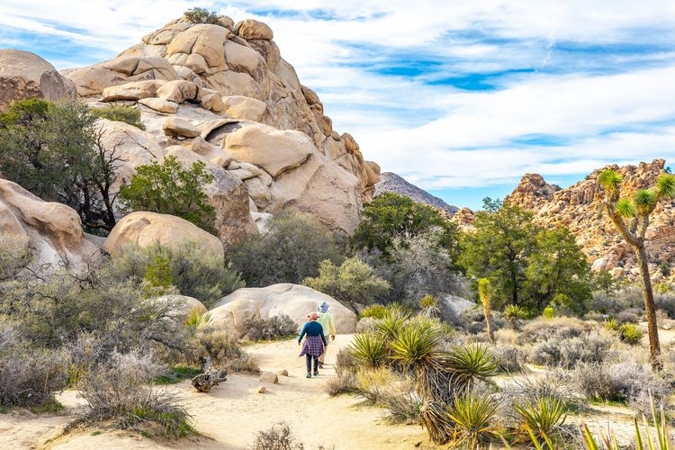 Best time to visit Joshua Tree, desert hike, Top Villas