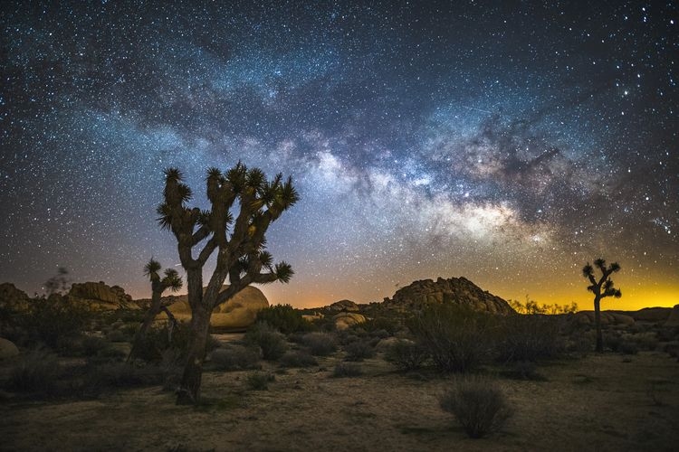 Best time to visit Joshua Tree, stargazing, Top Villas
